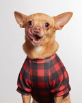 Pet Raglan